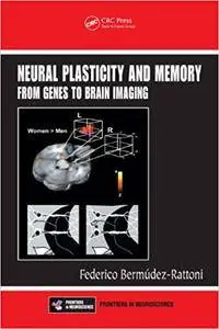 Neural Plasticity and Memory: From Genes to Brain Imaging (Repost)