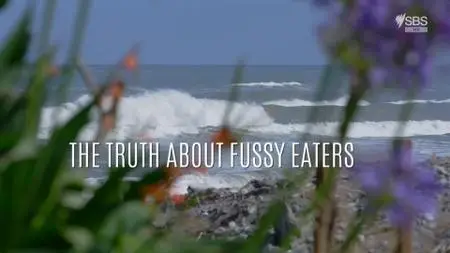 SBS - The Truth About Fussy Eaters (2017)