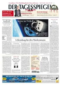 Der Tagesspiegel - 13 Juni 2015