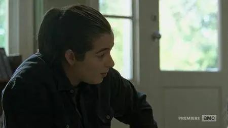 The Walking Dead S07E12 (2017)