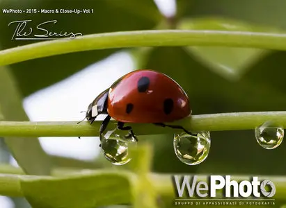 WePhoto. Macro - Volume 1, January 2016