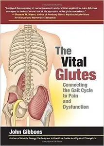 The Vital Glutes: Connecting the Gait Cycle to Pain and Dysfunction