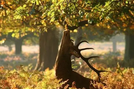 World In Photo 226