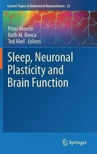 Sleep, Neuronal Plasticity and Brain Function (Repost)