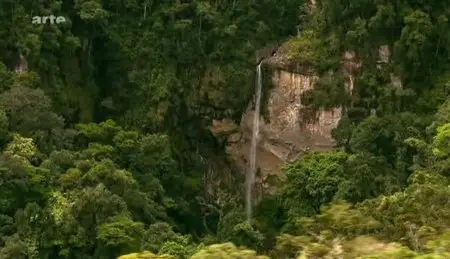 (Arte) Madagascar (2011)