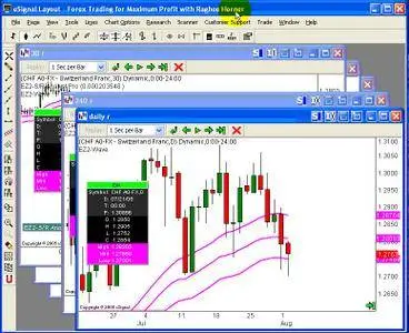 Raghee Horner - Forex Traders Package [repost]