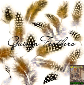 Guinea Feathers Brushes