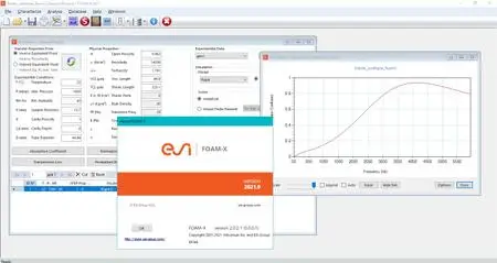ESI FOAM-X 2021.0