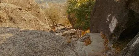Поезд на Дарджилинг /The Darjeeling Limited(2007)DVDRip