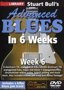 Lick Library - Stuart Bull's Advanced Blues In 6 Weeks - Week 6