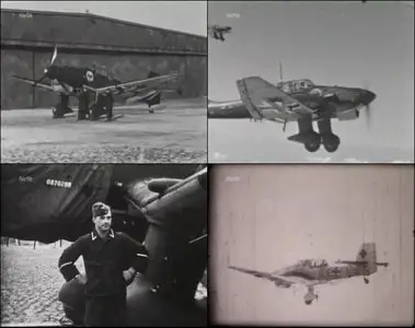 Der Krieg in der Luft WWII Reichs - Die LStukas im Einsatz. Aus der Geschichte des Geschwaders Immelmann