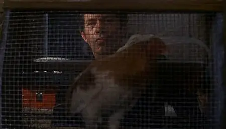 Cockfighter (1974) by Monte Hellman