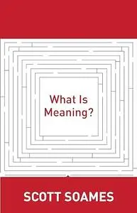 What Is Meaning?