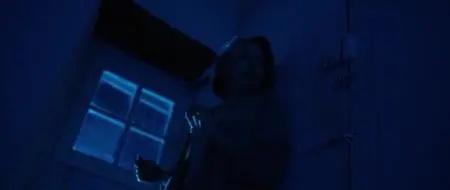 The House of Violent Desire (2017)