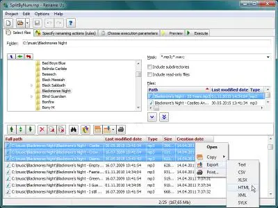 Rename Us Pro 4.1.3.11 Portable