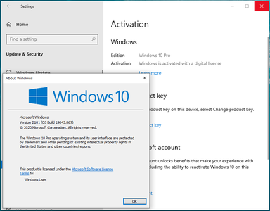 Windows 10 Pro 21H1 10.0.19043.867 Multilingual