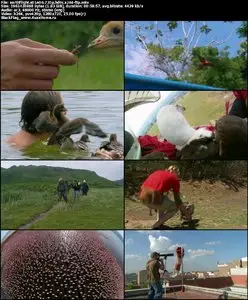 Earthflight S01E06