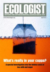Resurgence & Ecologist - Special Report - What's really in your cuppa?