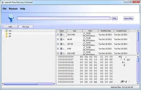 Lazesoft Recovery Suite 3.5.1 Professional Edition