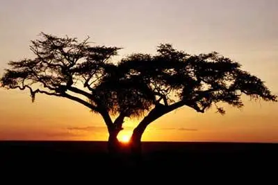 Sunrises - HQ professional photo