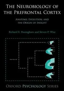 The Neurobiology of the Prefrontal Cortex: Anatomy, Evolution, and the Origin of Insight (repost)