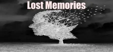 Lost Memories (2022)