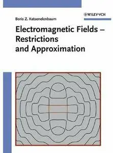 Electromagnetic Fields: Restrictions and Approximation [Repost]