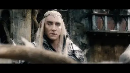 The Hobbit: The Battle of the Five Armies (2014) [Special Edition]