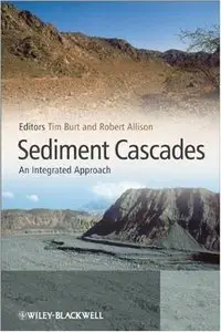 Sediment Cascades: An Integrated Approach 