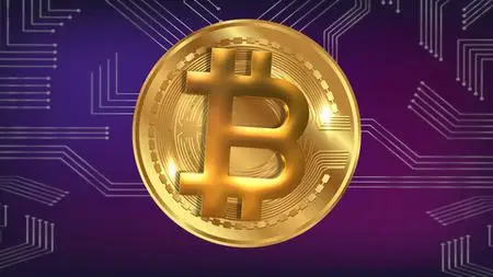Build Cryptocurrency Website Using Python