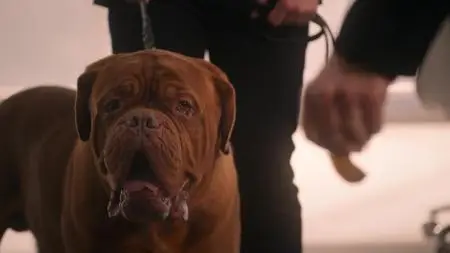 Turner & Hooch S01E07