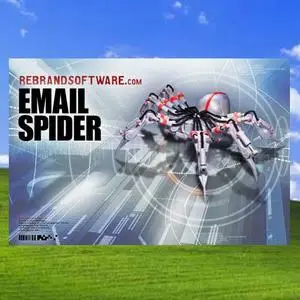 RS Email Spider v3.0