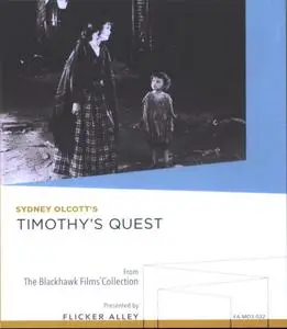 Timothy's Quest (1922)