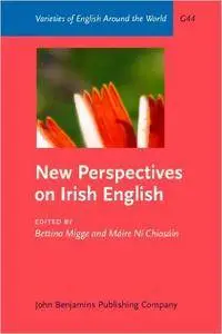 New Perspectives on Irish English (Varieties of English Around the World)