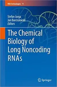 The Chemical Biology of Long Noncoding RNAs