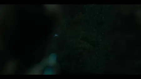 The Widow S01E05