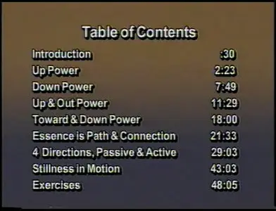 How to Do: Internal Strength for Tai Chi, Aikido, and Everyday Life