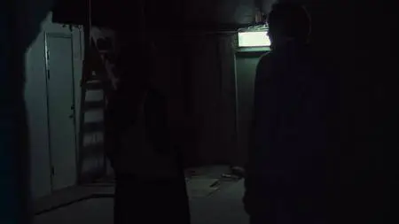 The Real Estate (2018)