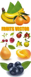 Fruits vector