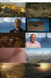 Animal Armageddon S01E06 Strangled (2009)