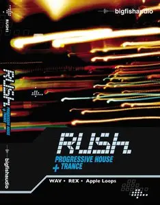 Big Fish Audio Rush : Progressive House and Trance