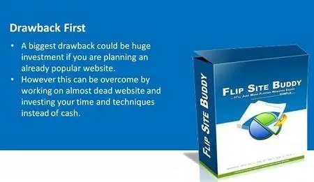 Website Flipping : Flip Websites For Profit - Learn How To Flip Websites for Instant Cash and Daily