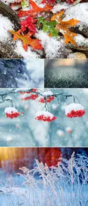 Stock Photo - Winter Nature