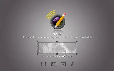 Voila 3.1.1