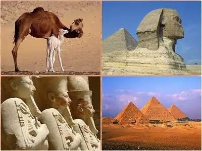 Wallpapers Travel: Egypt