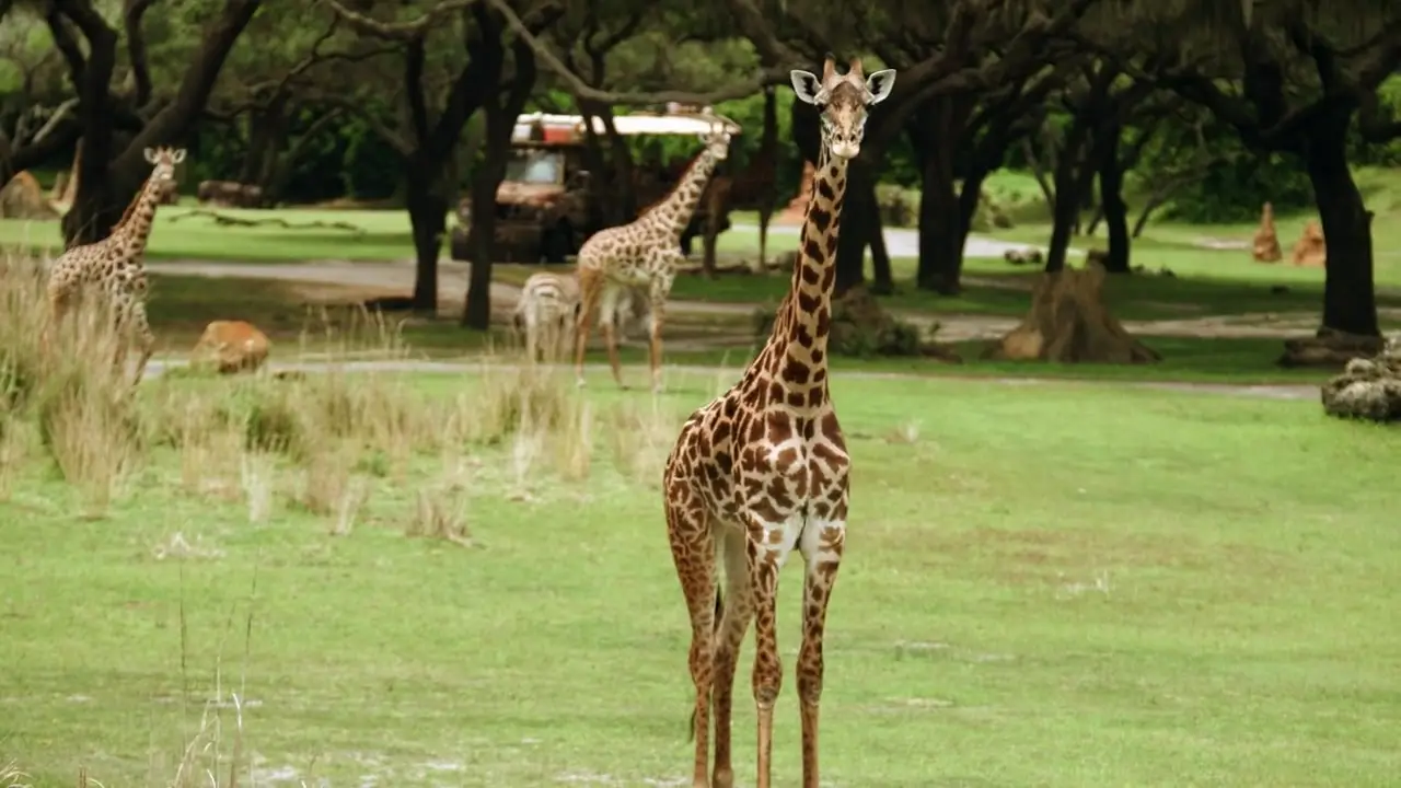 Animal Kingdom S02E06