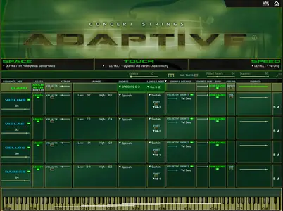 Kirk Hunter Studios Chamber Strings Adaptive KONTAKT