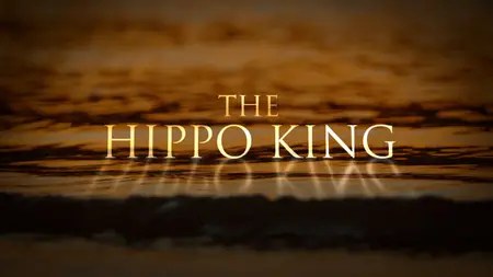 Hippo King (2022)