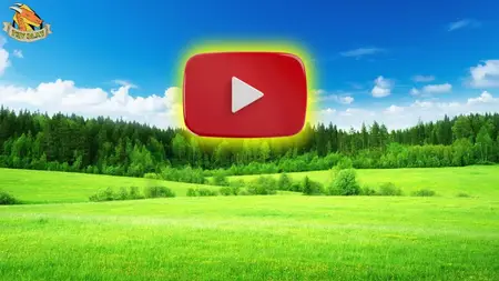 YouTube Channel Growth Guide: From Zero to Thousands of Subs