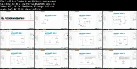 IBM webMethods | An Exhaustive Content (Development & Admin)